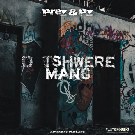 O Tshwere mang? ft. PZ | Boomplay Music