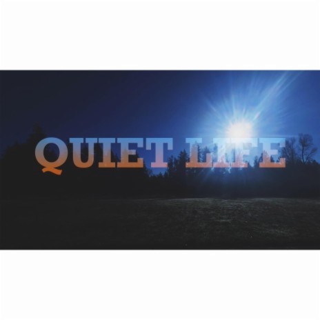 Quiet Life | Boomplay Music