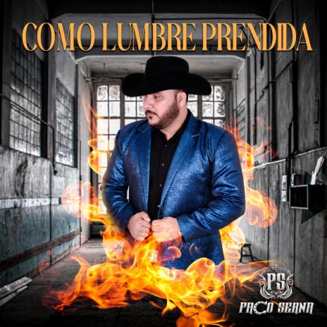 COMO LUMBRE PRENDIDA | Boomplay Music