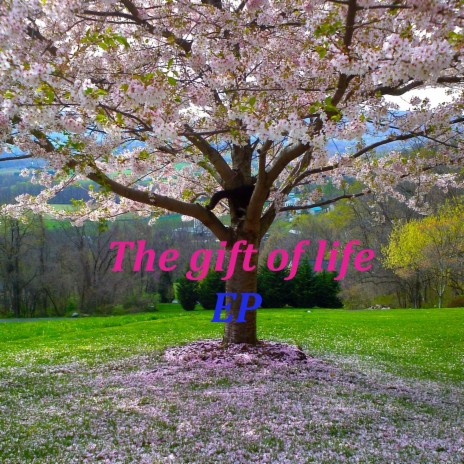 The gift of life | Boomplay Music