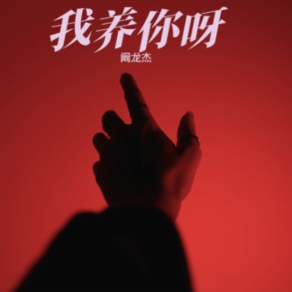 我养你呀 lyrics | Boomplay Music