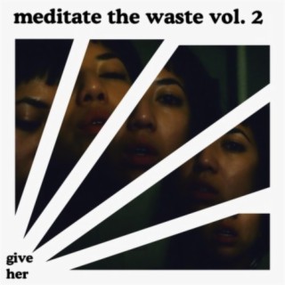 Meditate The Waste, Vol. 2