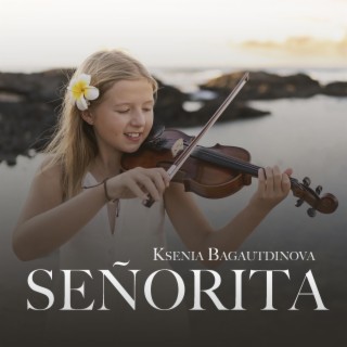 Senorita (Sergey Ignatov Remix Violin Cover)