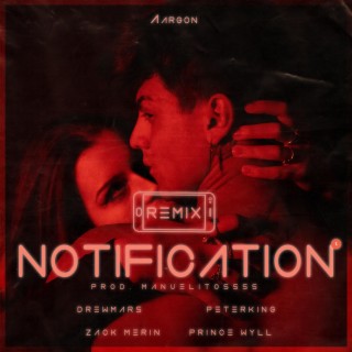 NOTIFICATION (Remix) ft. PeterKing, Drew Mars, Zack Merìn & Prince Will lyrics | Boomplay Music