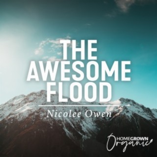 The Awesome Flood