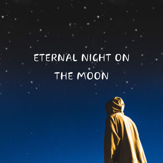 Eternal Night on the Moon