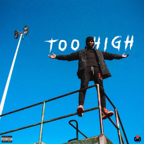 Too High (Instrumental)