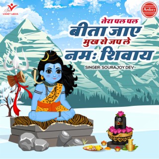 Tera Pal Pal Bita Jaye Mukh Se Jap Le Namah Shivay