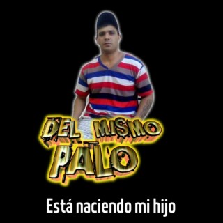 Está Naciendo Mi Hijo