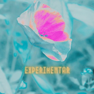 Experimentar