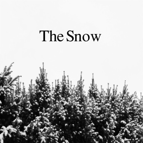 The Snow | Boomplay Music