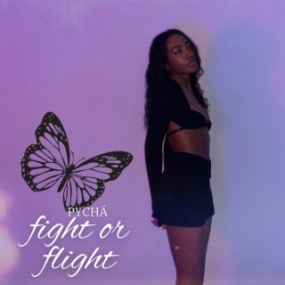 fight or flight lyrics | Boomplay Music