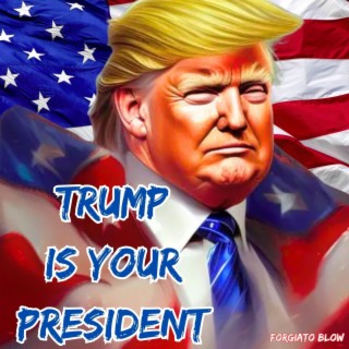 Trump Is Your President