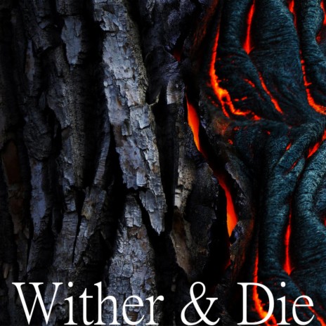 Wither & Die (Devil May Cry) | Boomplay Music