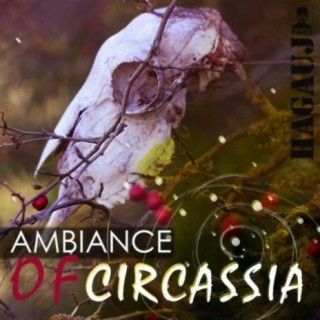 Ambiance of Circassia