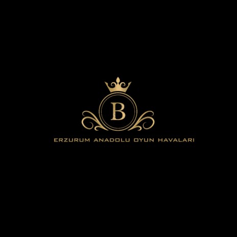 Erzurum Anadolu Oyun Havaları | Boomplay Music