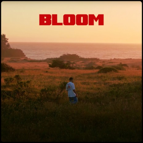 Bloom | Boomplay Music