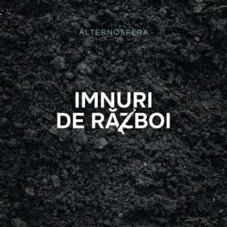 Imnuri De Razboi lyrics | Boomplay Music