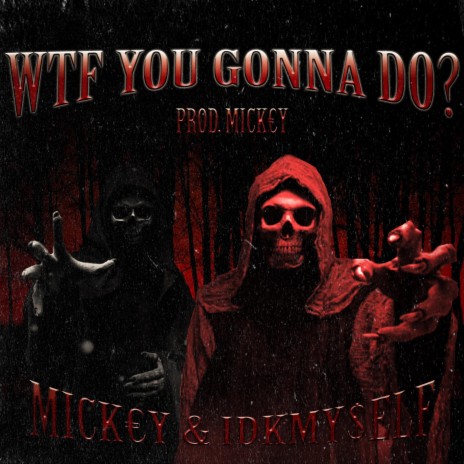 WTF YOU GONNA DO? ft. IDKMY$eLF | Boomplay Music