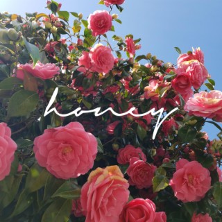 Honey lyrics | Boomplay Music