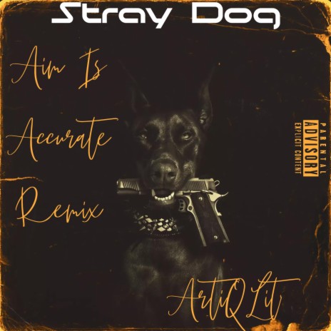 Stray Dog (Aim Is Accurate Remix) | Boomplay Music