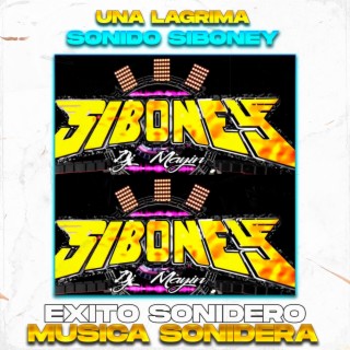 Una Lagrima, Exito Sonido Siboney (LIMPIA)