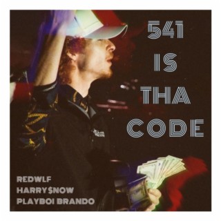 541 IS THA CODE