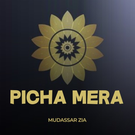 Picha Mera | Boomplay Music