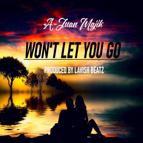Won't Let You Go | Boomplay Music