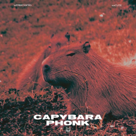 CAPYBARA PHONK ft. soCUTE | Boomplay Music