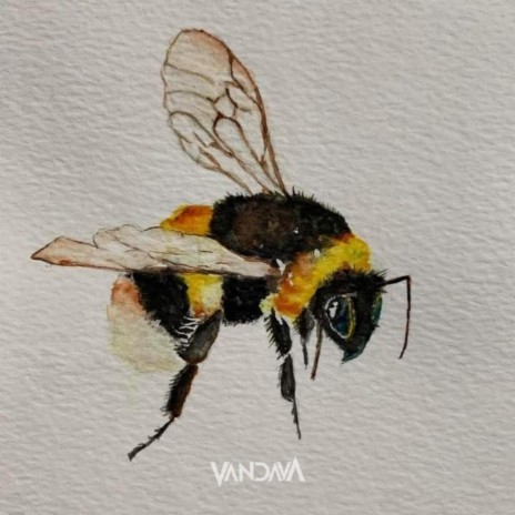 Flight Of The Bumblebee | Boomplay Music