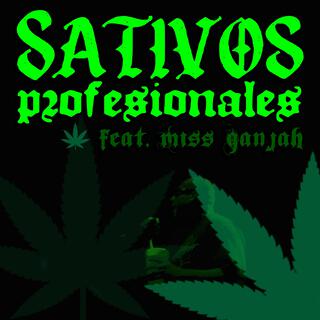 SATIVOS PROFESIONALES