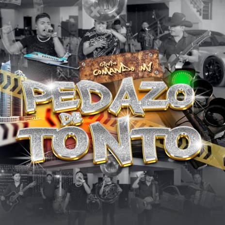 Pedazo de Tonto | Boomplay Music