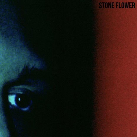 stone flower | Boomplay Music