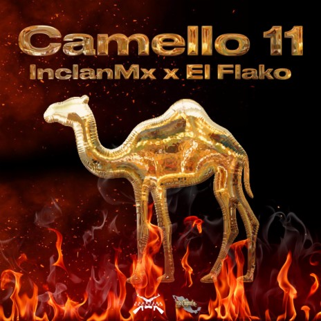 Camello 11 ft. El Flako