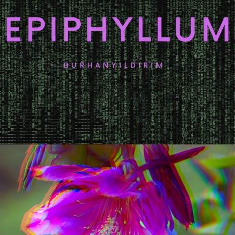 Epiphyllum | Boomplay Music