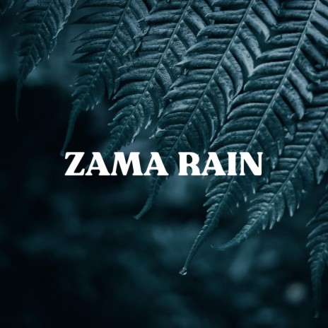 Calming Forest Rain | Boomplay Music