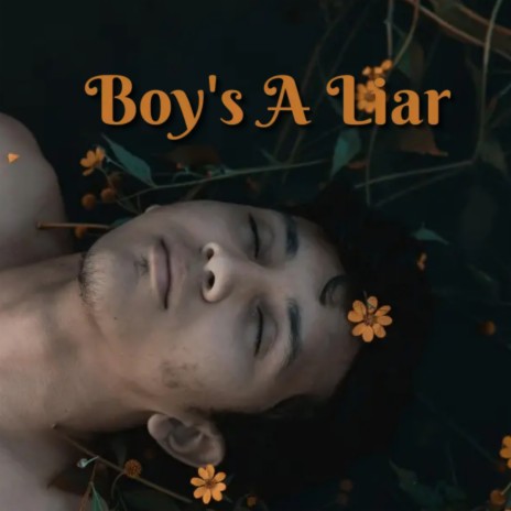 Boy's A Liar | Boomplay Music