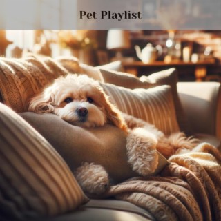 Pet Playlist: Tunes Tailored for Your Fur Babies