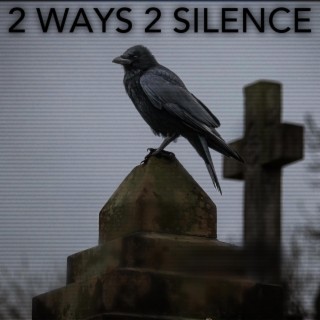 2 Ways 2 Silence