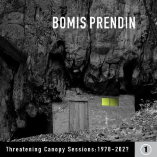 Threatening Canopy Sessions: 1978-202? Volume 1