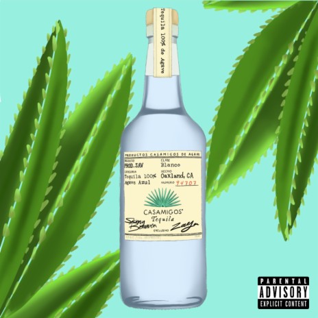 Casamigos ft. SkinnyBeamen