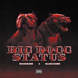 Big Dogg Satus