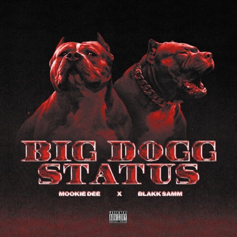 Big Dogg Satus ft. Blakk Samm
