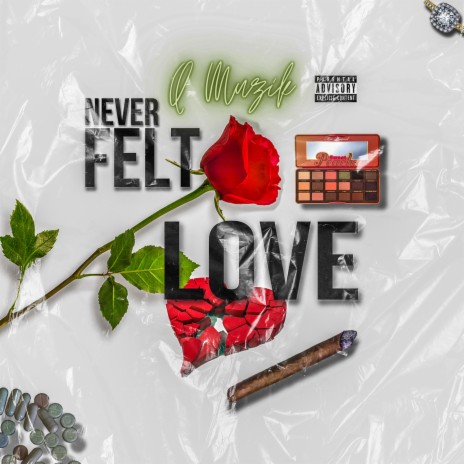 Never Felt Love | Boomplay Music
