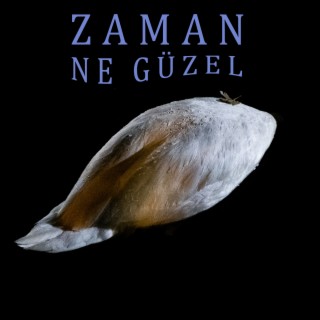 Zaman ne güzel