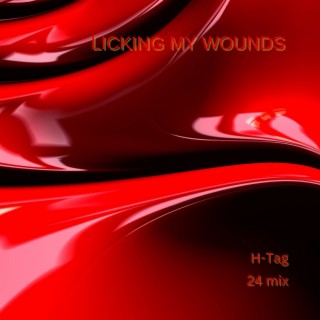 Licking My Wounds 24mix