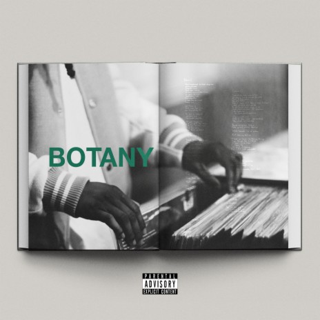 Botany ft. Sebastian Kamae & KAMAE | Boomplay Music