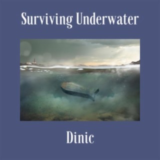 Surviving Underwater