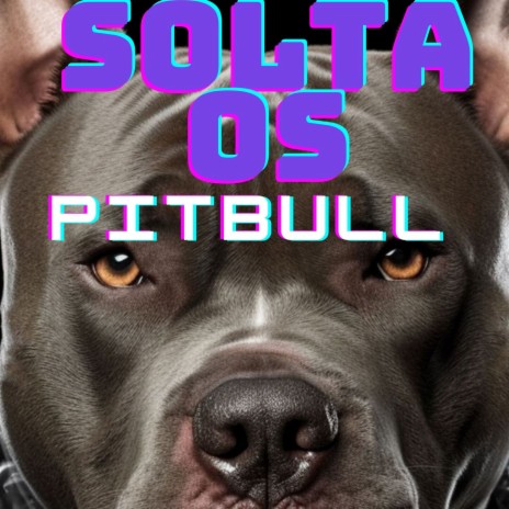 SOLTA OS PITBULL | Boomplay Music